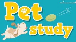 PETS STUDY