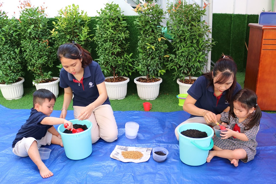 Trẻ Kindy City trồng lúa bằng hộp nhựa tái chế