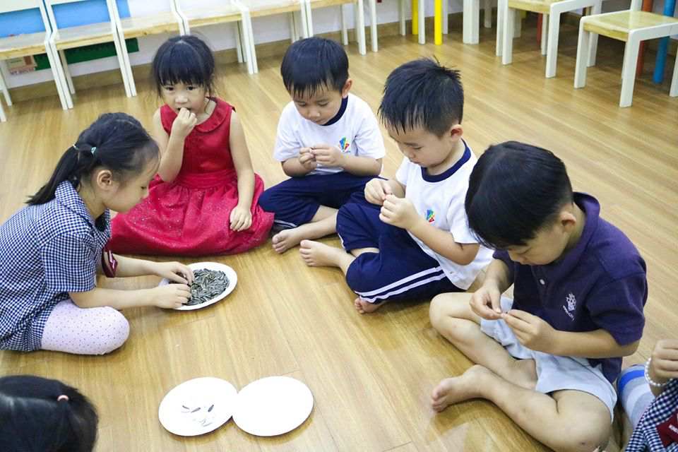 Các bé đang học cách ăn hạt hướng dương an toàn