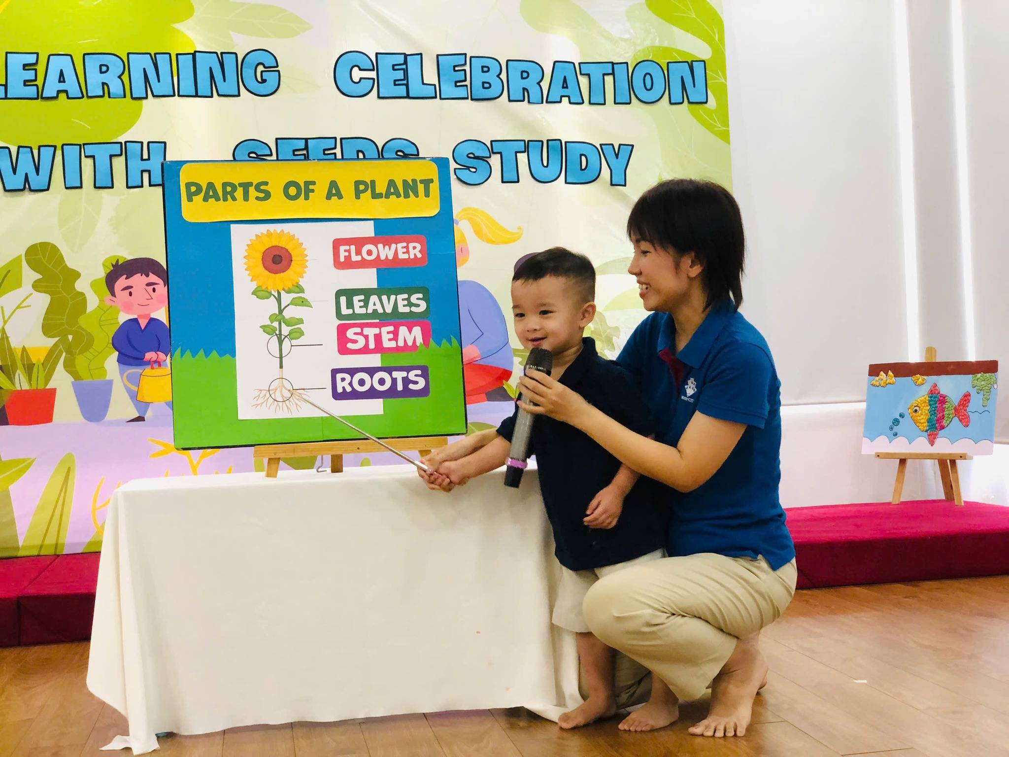 truong-mam-non-quoc-te-kindy-city-seeds-study