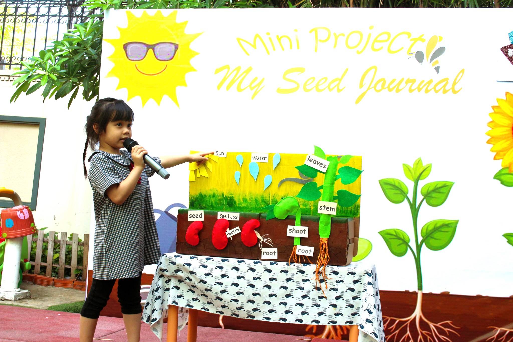 truong-mam-non-quoc-te-kindy-city-seeds-study