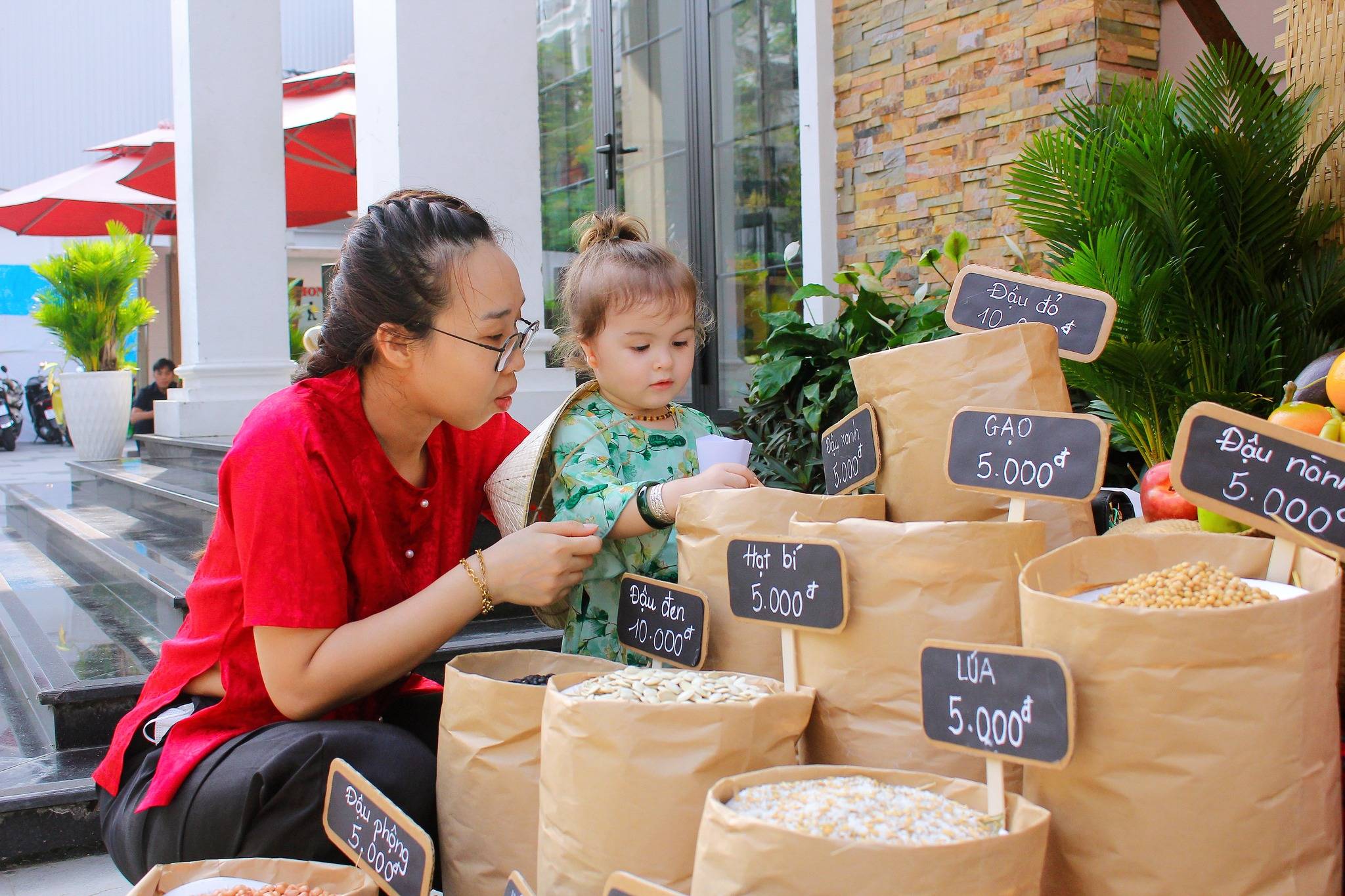 truong-mam-non-quoc-te-kindy-city-seeds-study